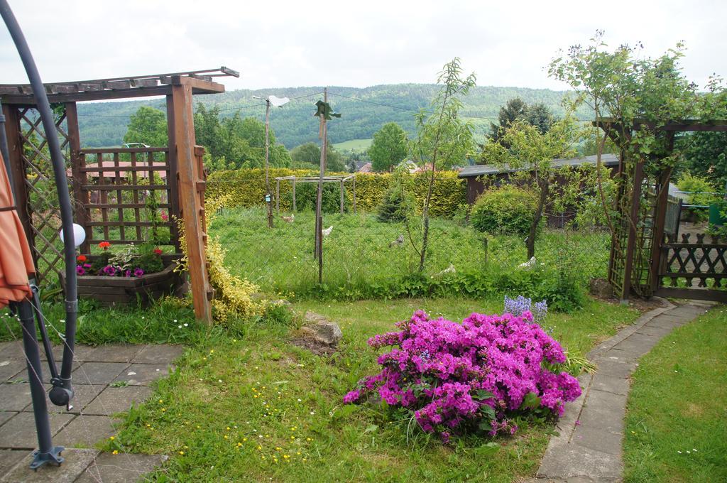 Gartenlandhaus Dohma Kültér fotó